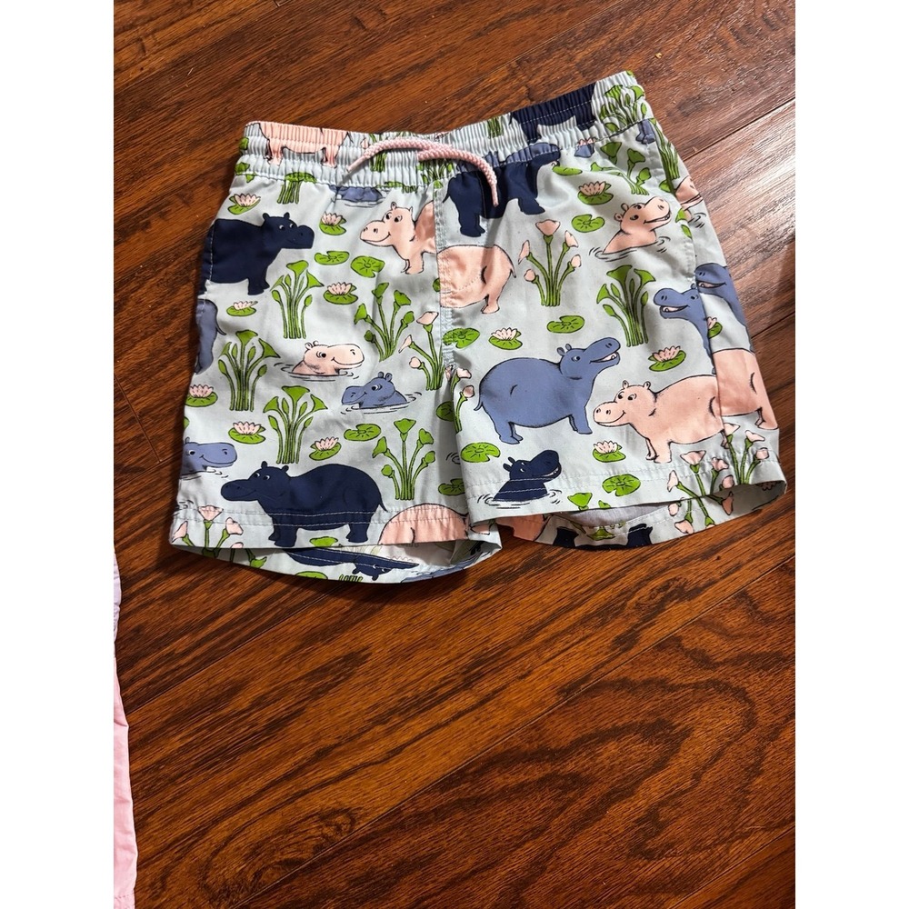 Tbbc hippo swim